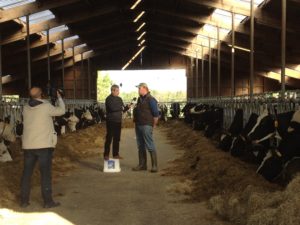 De Roemeense TV groeit, evenals de melkveehouderij in de toekomst
